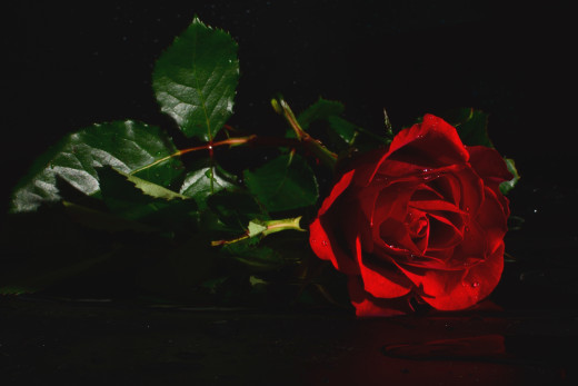 863010 (a): :2800x1865